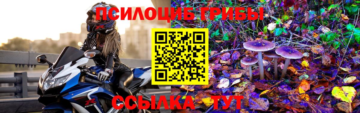 Галлюциногенные грибы Magic Shrooms  Вход с VPN  Избербаш 
